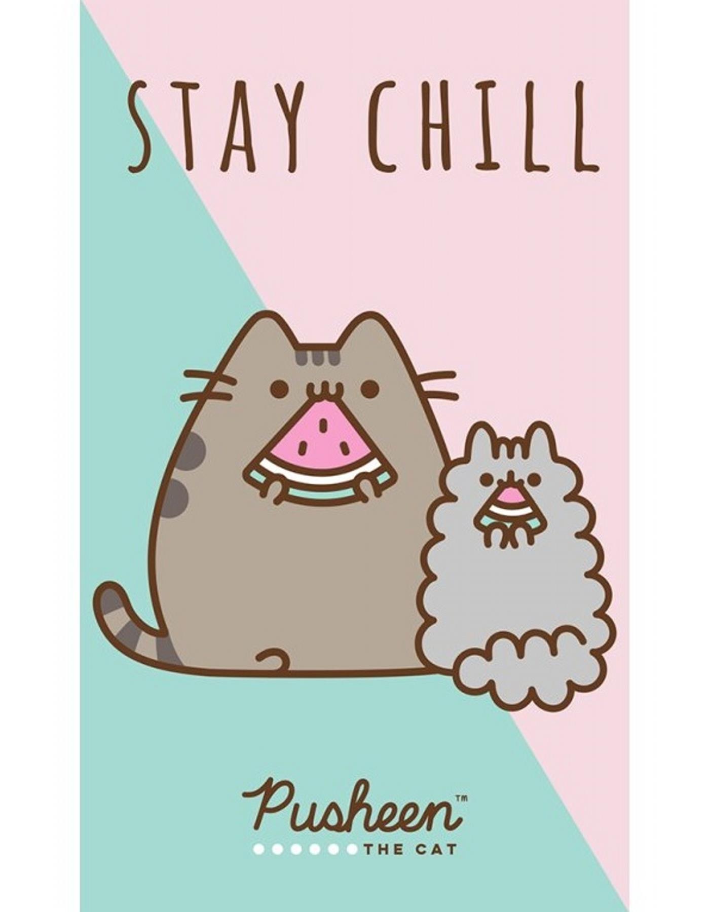 Carbotex Dětský ručník Kočička Pusheen Stay Chill, 30 × 50 cm