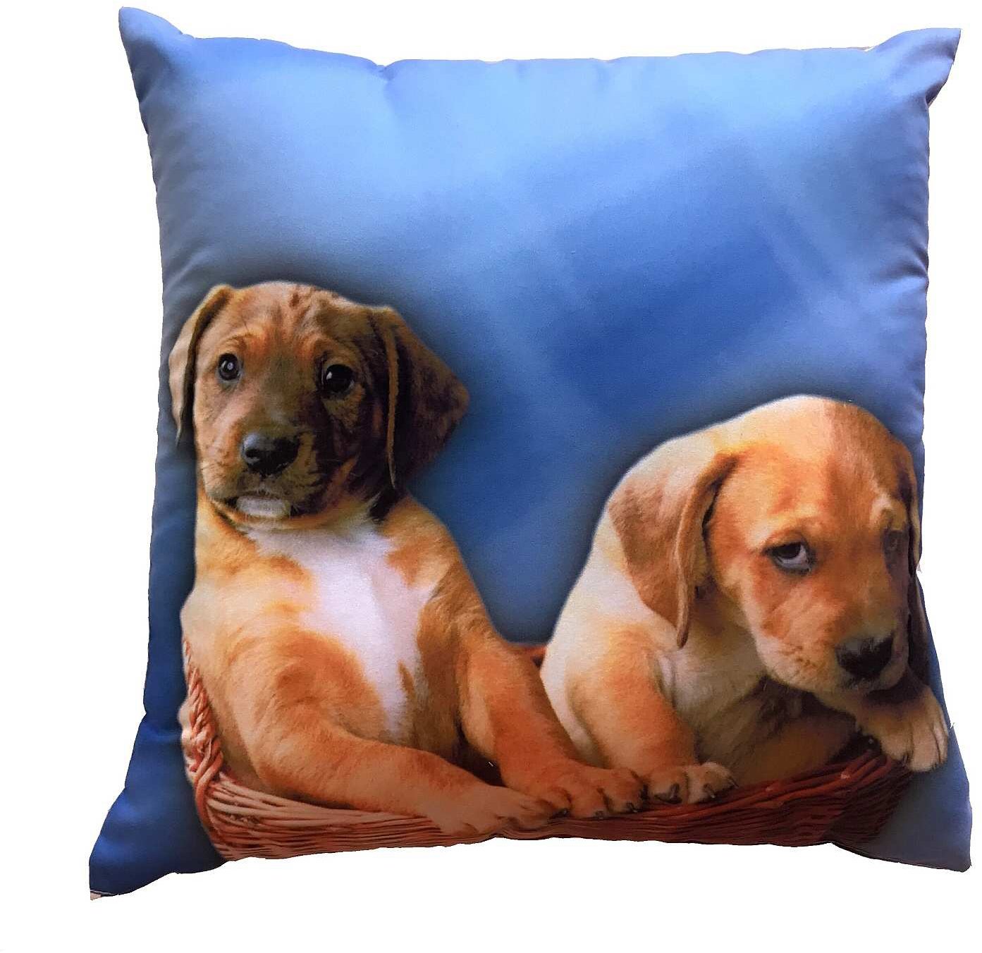 Dadka Fotopolštářek Dvě štěňata na modrém 40 × 40 cm