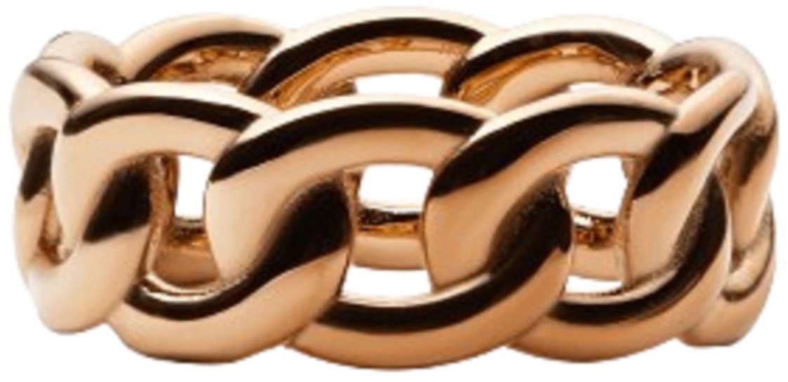 Daniel Wellington Dámský prsten ocelový Chunky Chain DW00400815