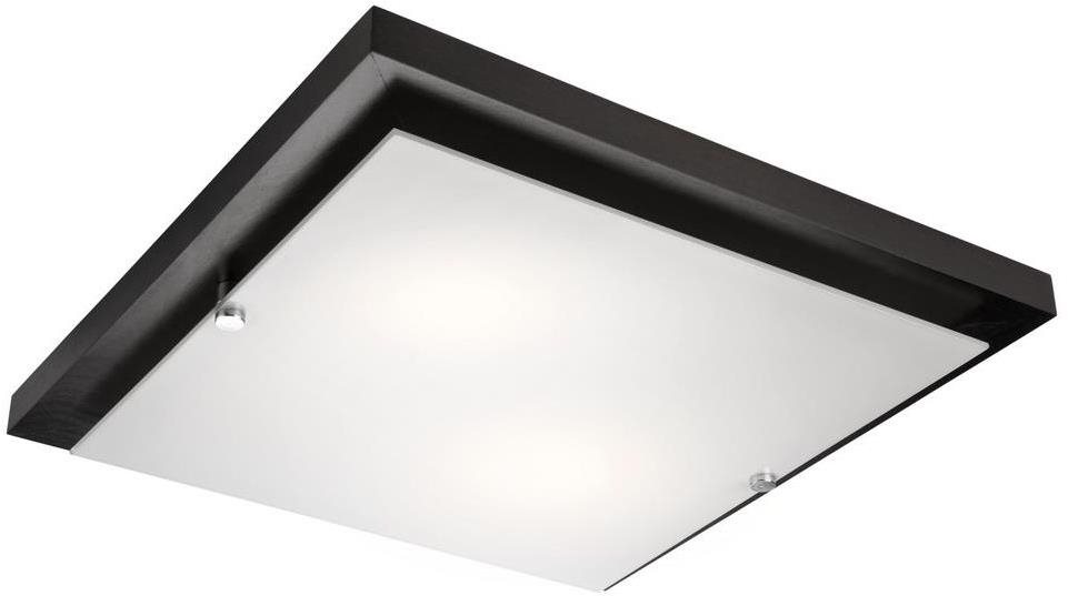 Stropní svítidlo 2xE27/60W/230V