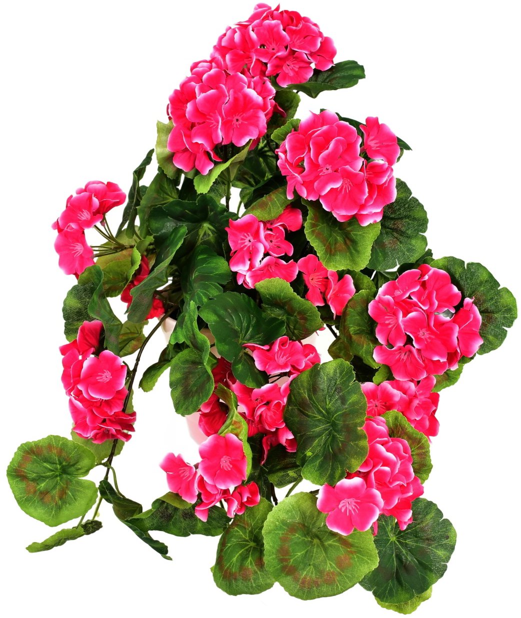 BerryHome Muškát převislý růžový v keramickém květináči 50 × 35 cm