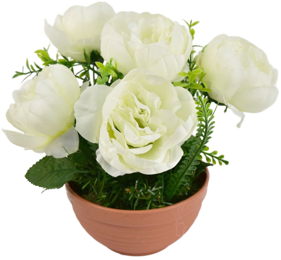 BerryHome Pivoňky bílé 6 květů v terakotové misce, průměr 26/26 cm