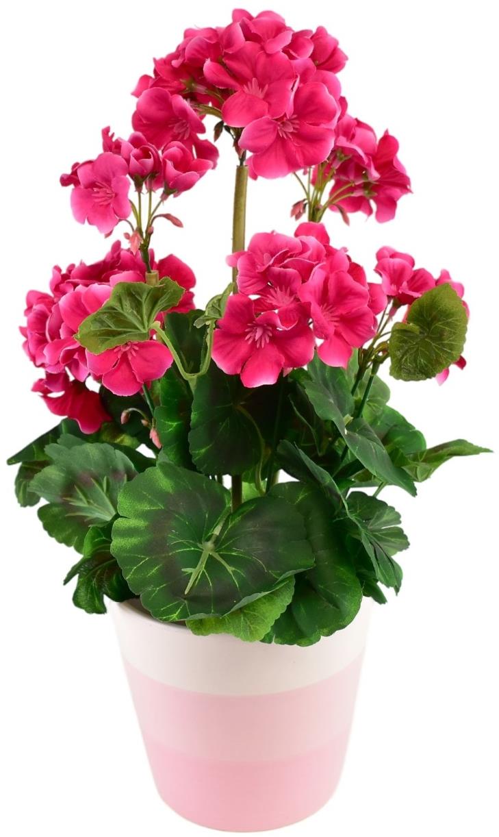 BerryHome Muškát v keramickém květináči 40 × 25 cm růžový
