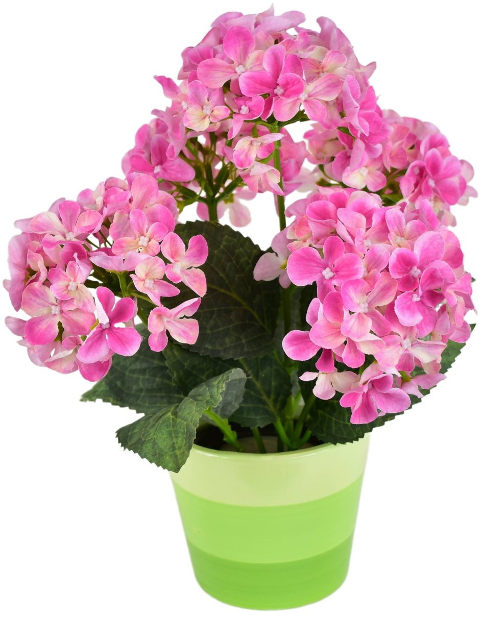 BerryHome Hortenzie růžová 5 květů v keramickém květináči 33 × 27 cm