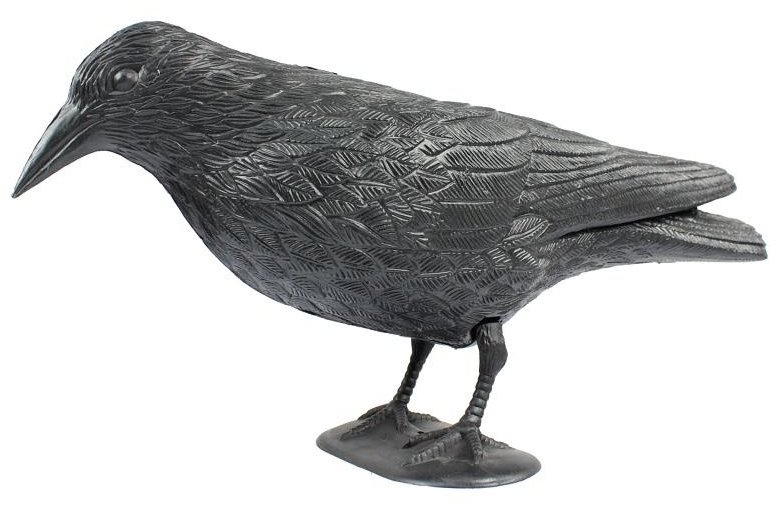 DuraHome Plašič ptactva Havran, stojící, 36 × 13 × 18 cm