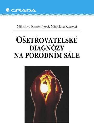 Ošetřovatelské diagnózy na porodním sále