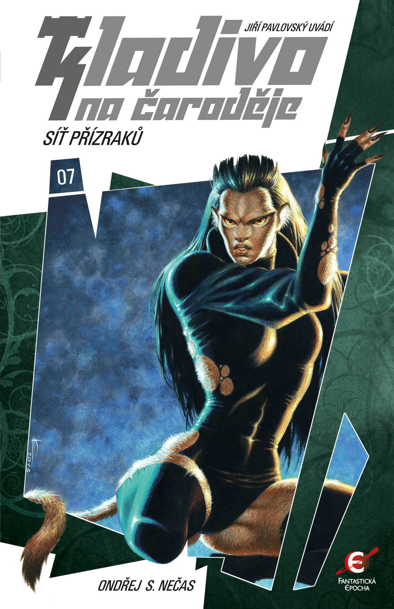 Kladivo na čaroděje 07: Síť přízraků