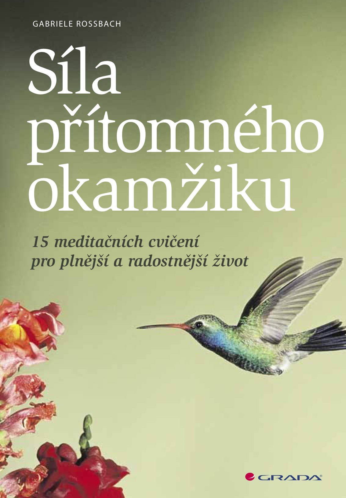 Síla přítomného okamžiku