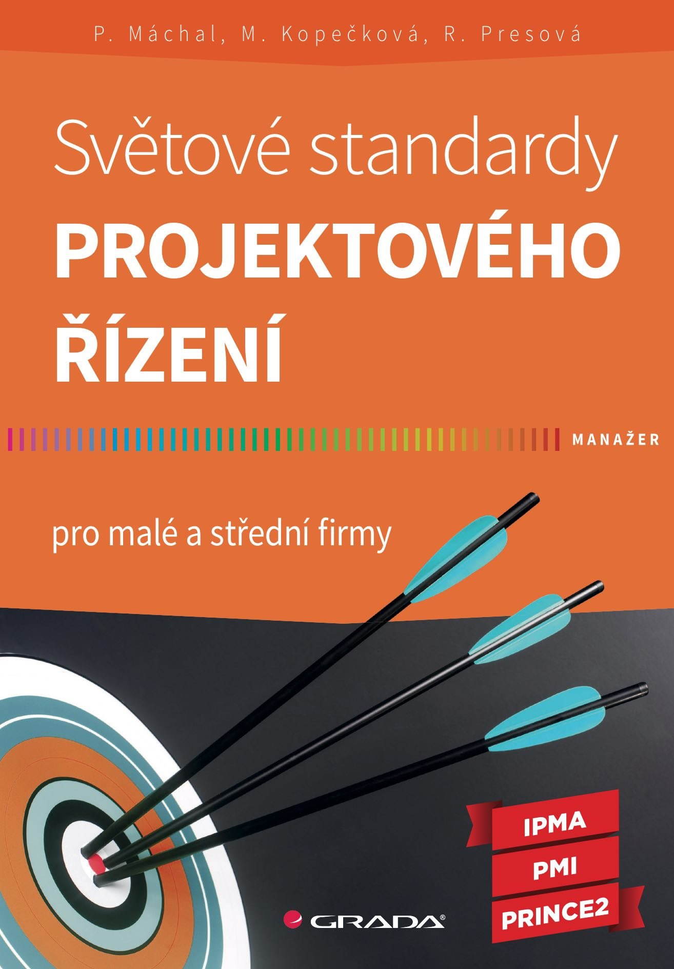 Světové standardy projektového řízení