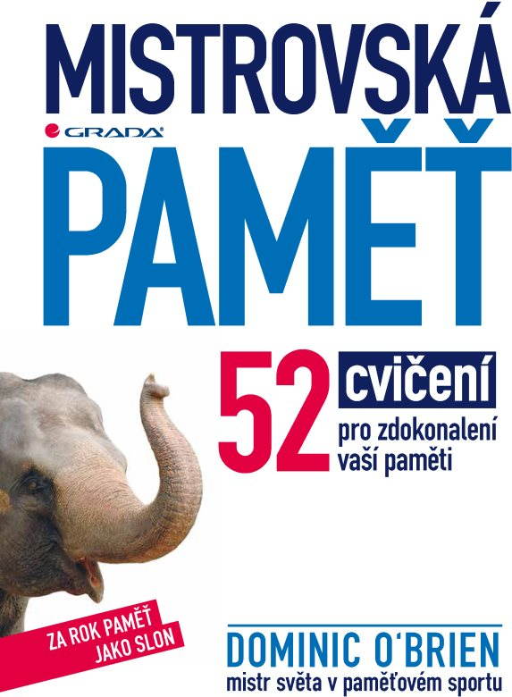 Mistrovská paměť