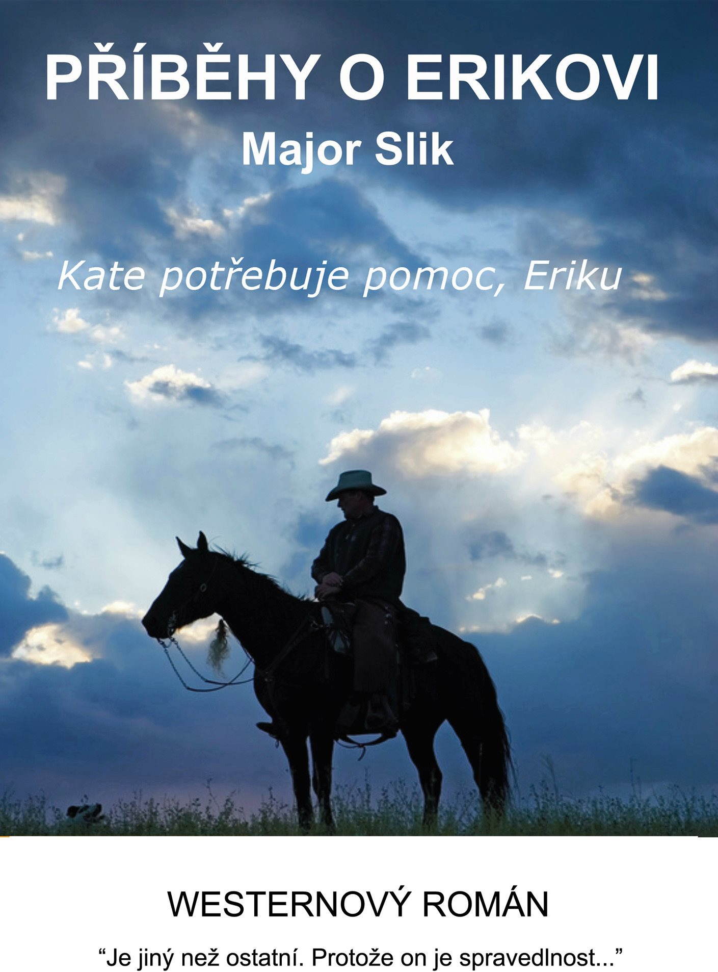 Příběhy o Erikovi - Kate potřebuje pomoc, Eriku