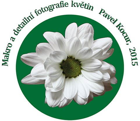 Makro a detailní fotografie květin