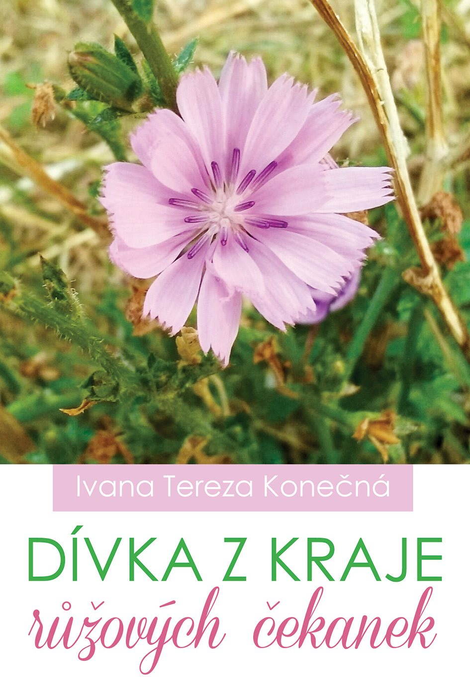 Dívka z kraje růžových čekanek