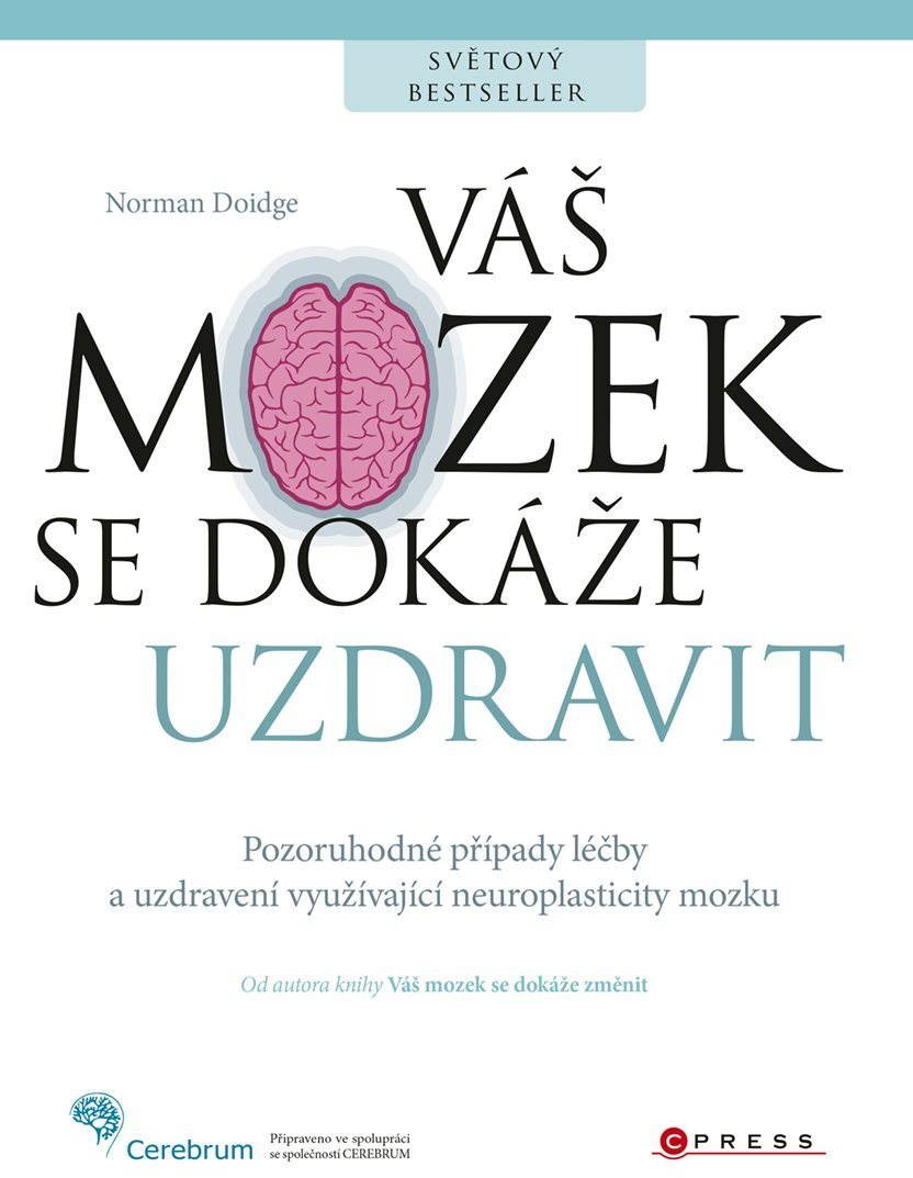 Váš mozek se dokáže uzdravit