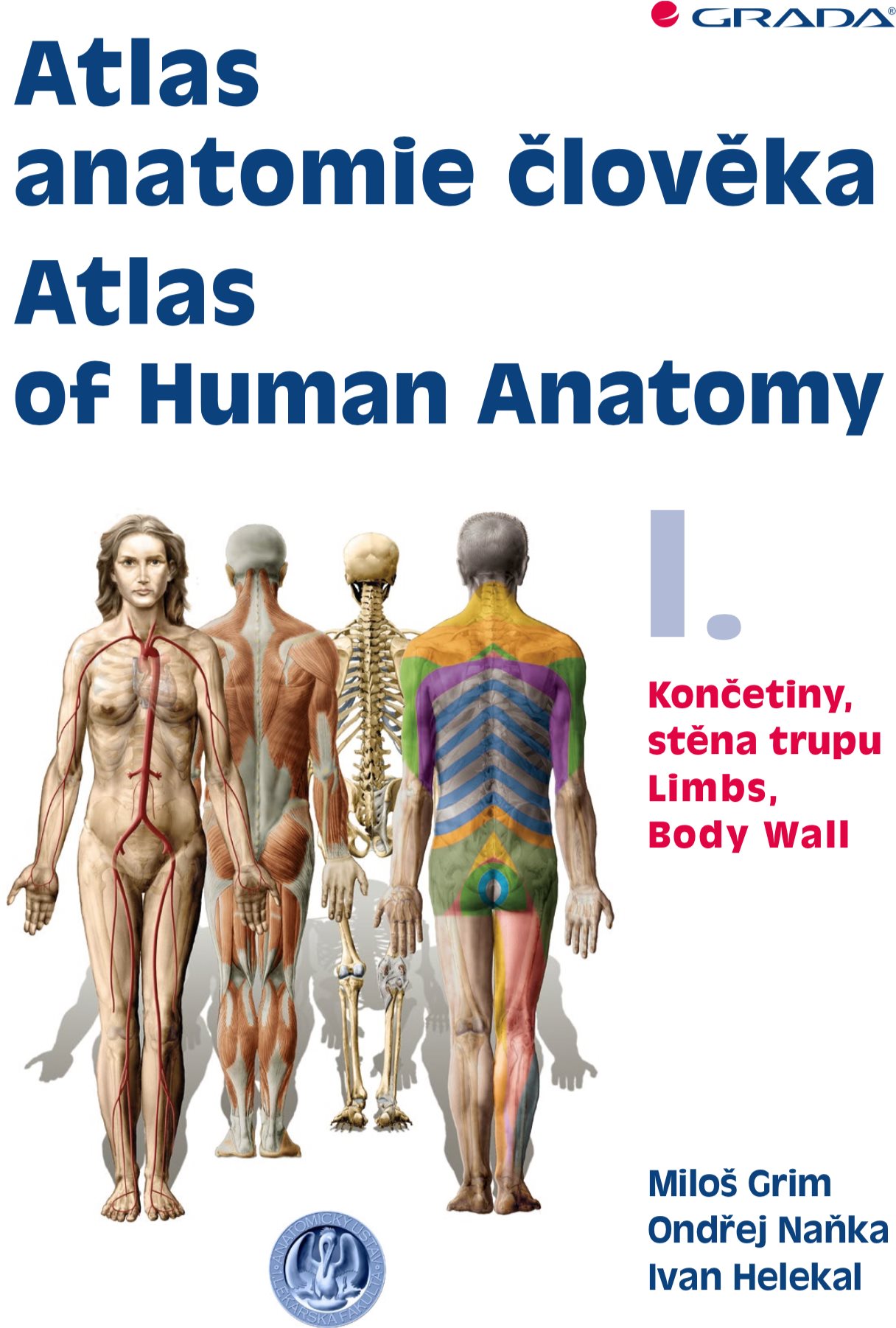 Atlas anatomie člověka I. - Atlas of Human Anatomy I.