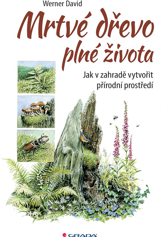 Mrtvé dřevo plné života