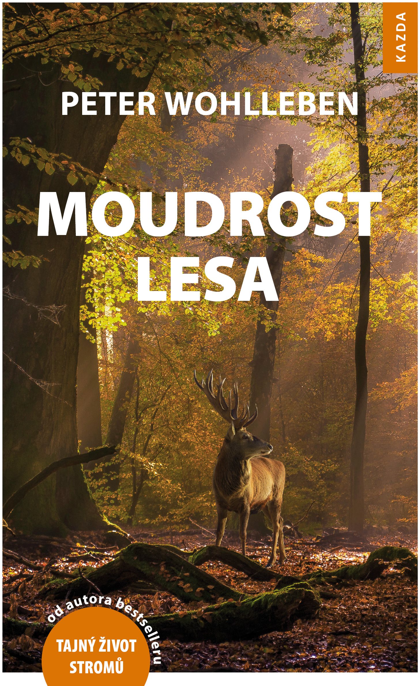 Moudrost lesa