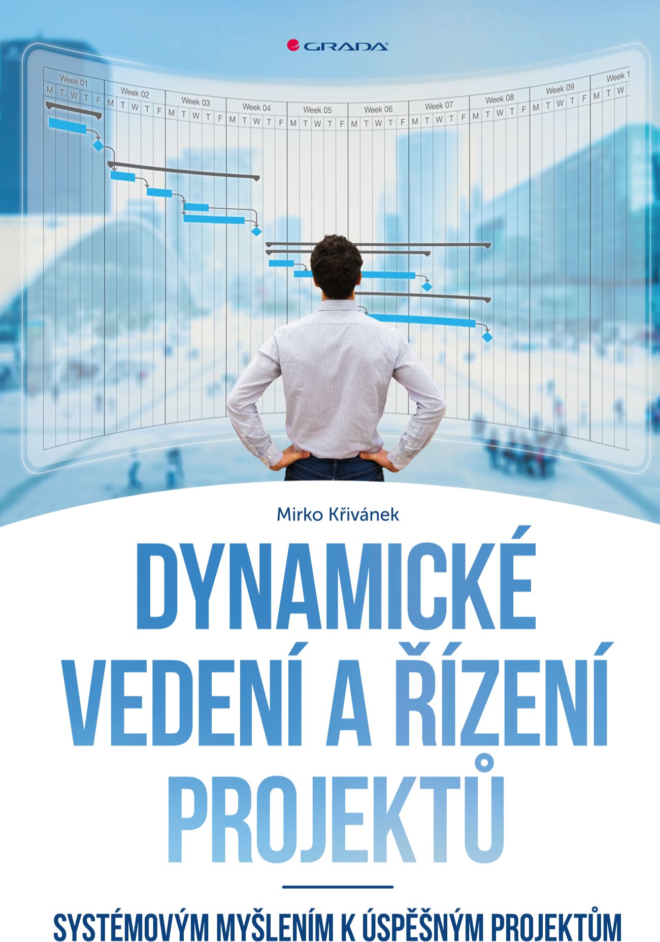 Dynamické vedení a řízení projektů