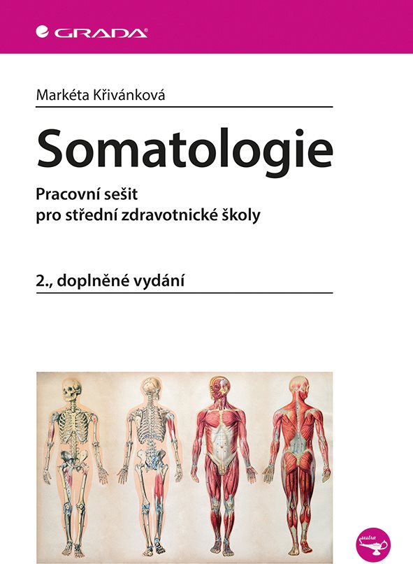 Somatologie: Pracovní sešit