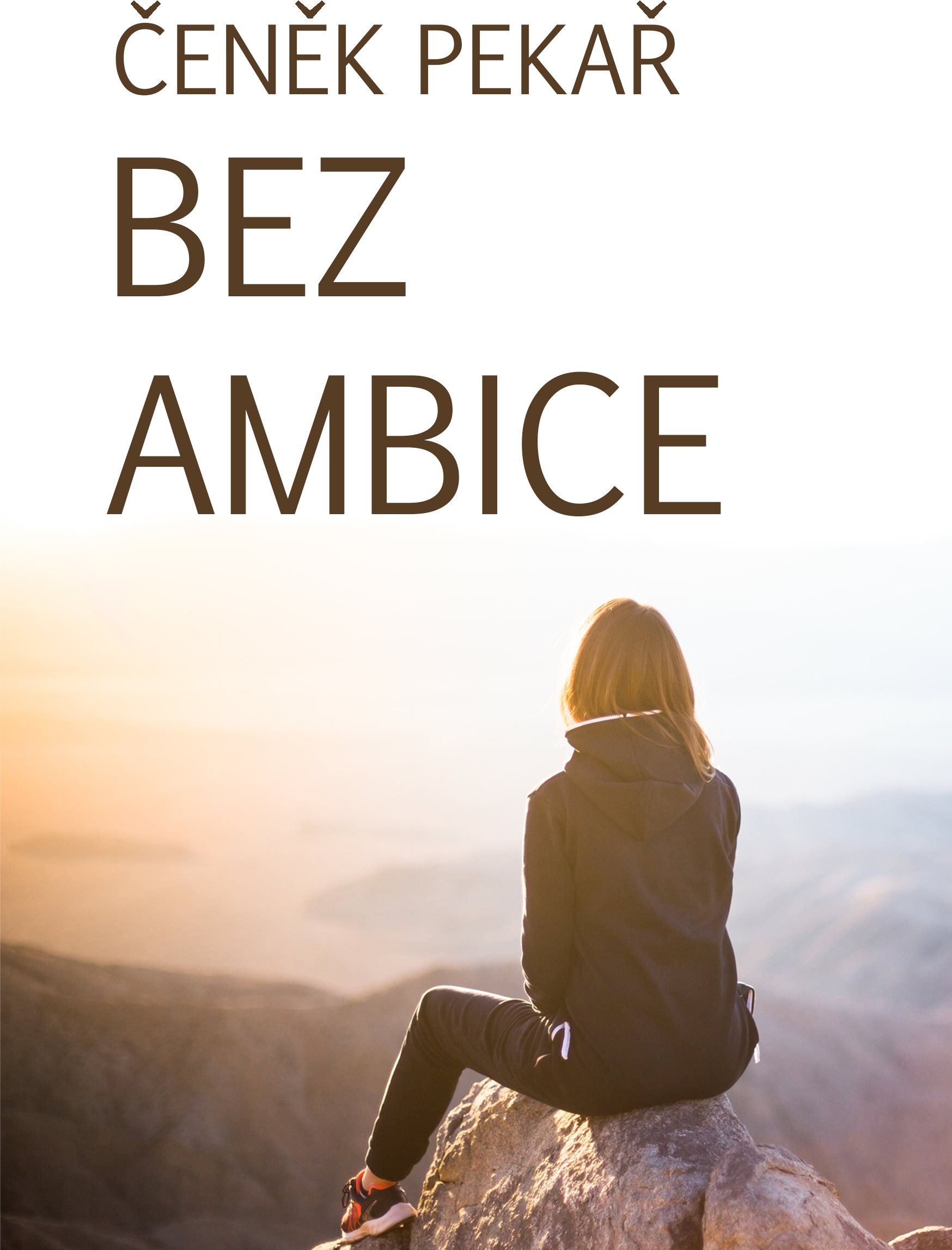 Bez ambice