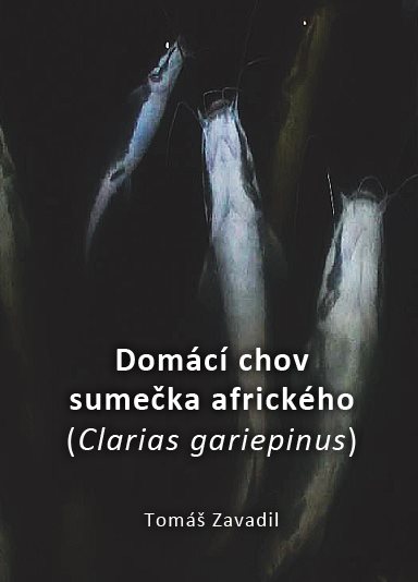Domácí chov sumečka afrického