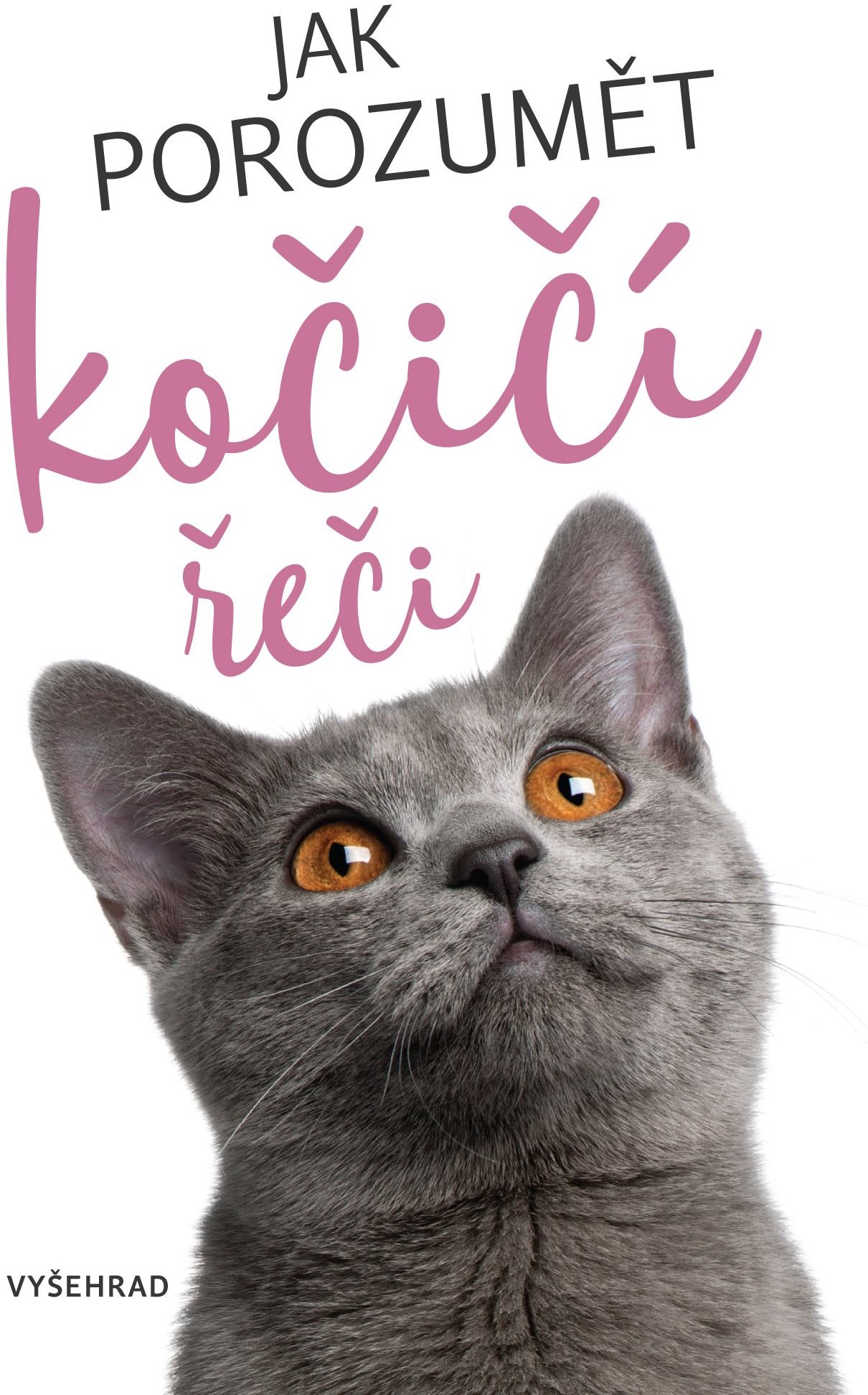 Jak porozumět kočičí řeči