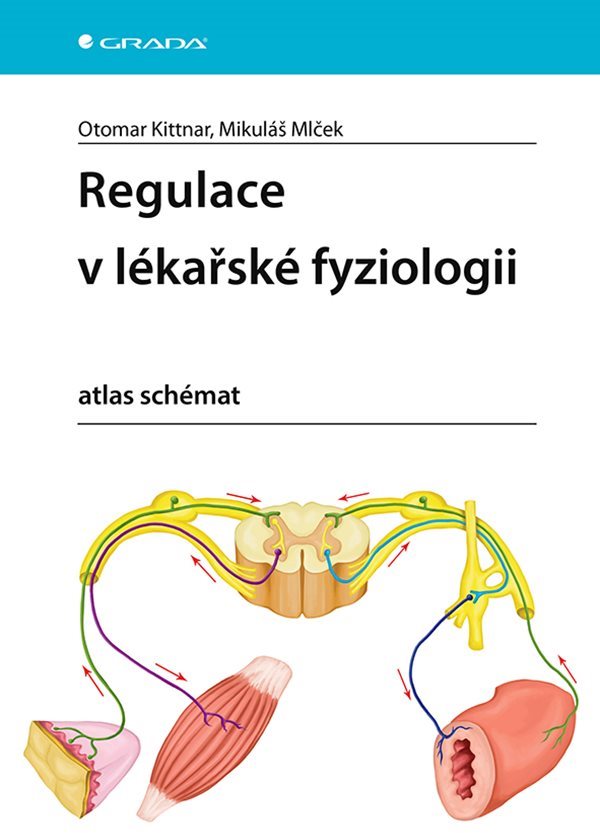 Regulace v lékařské fyziologii