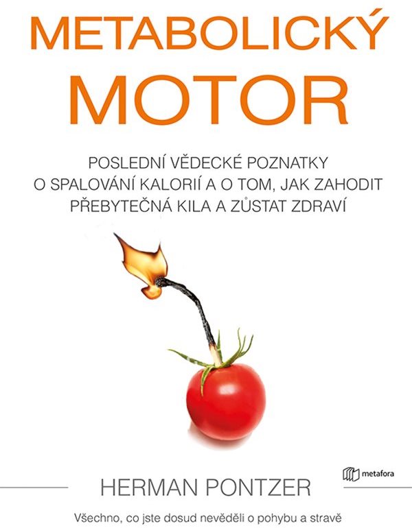 Metabolický motor