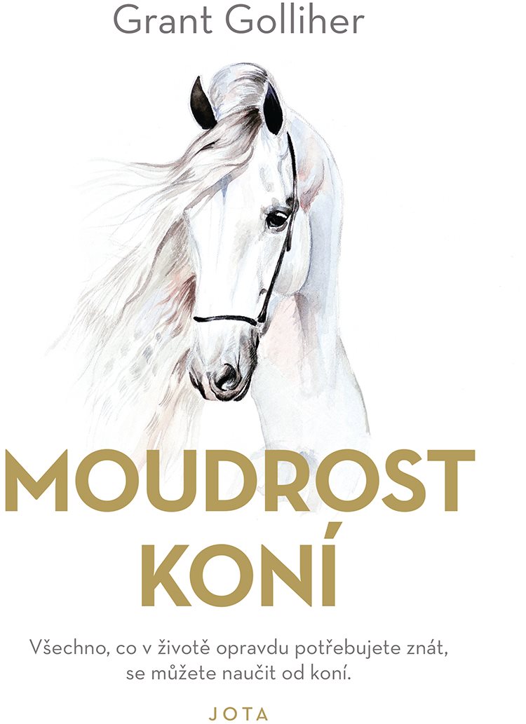 Moudrost koní