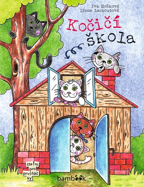 Kočičí škola
