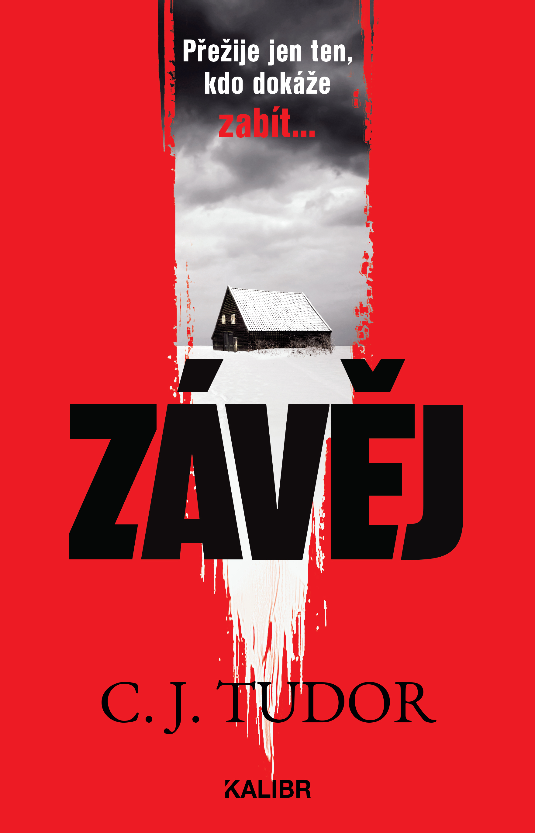 Závěj