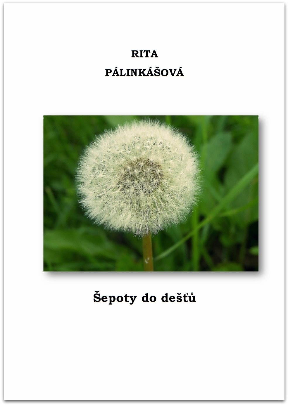 Šepoty do dešťů
