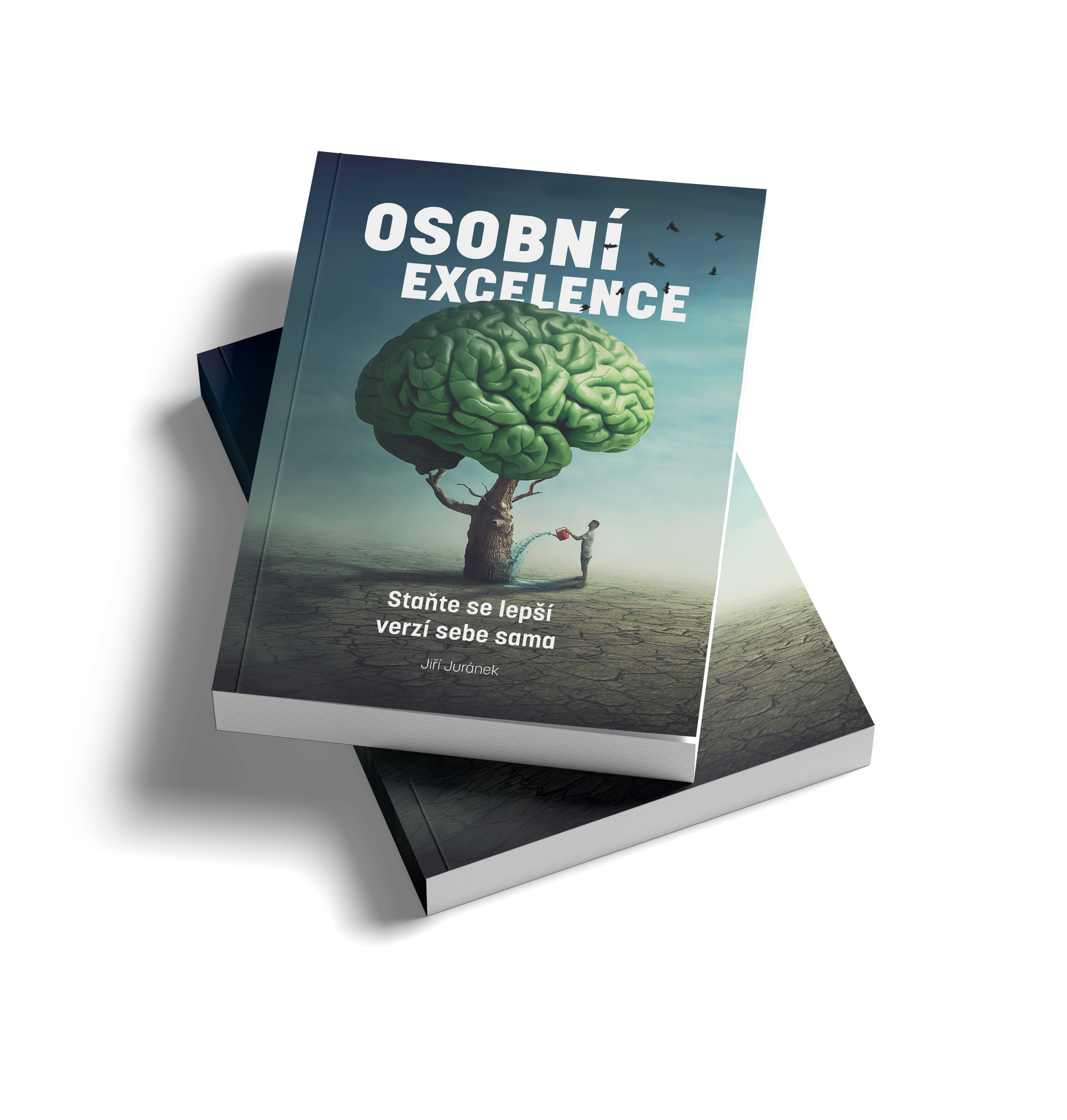 Osobní excelence