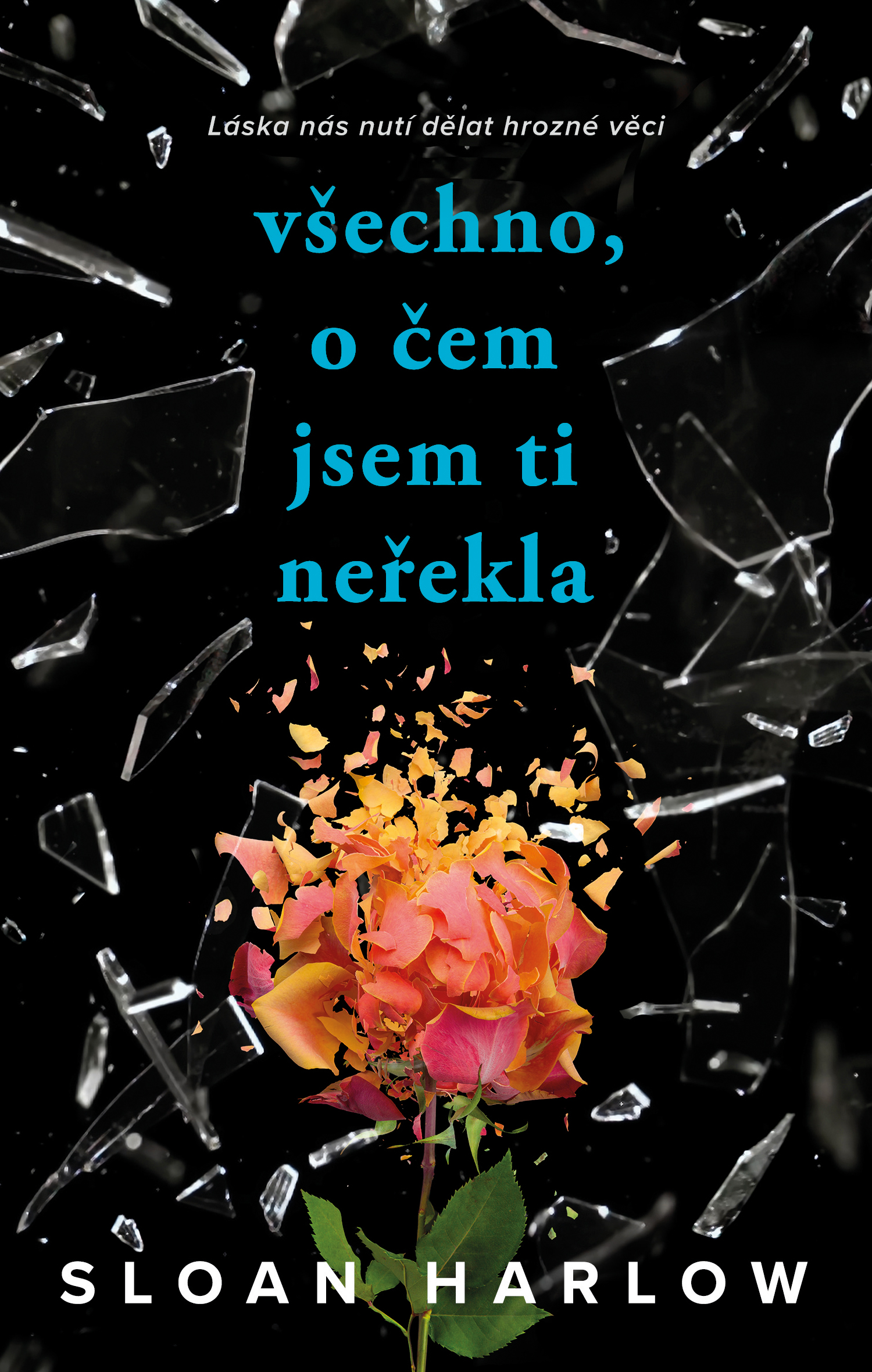 Všechno, o čem jsem ti neřekla