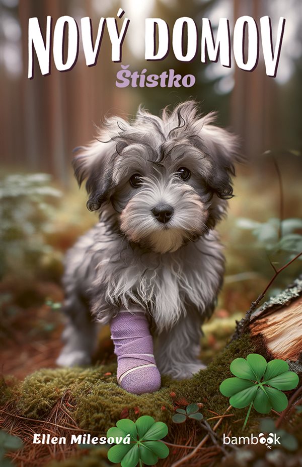 Nový domov – Štístko