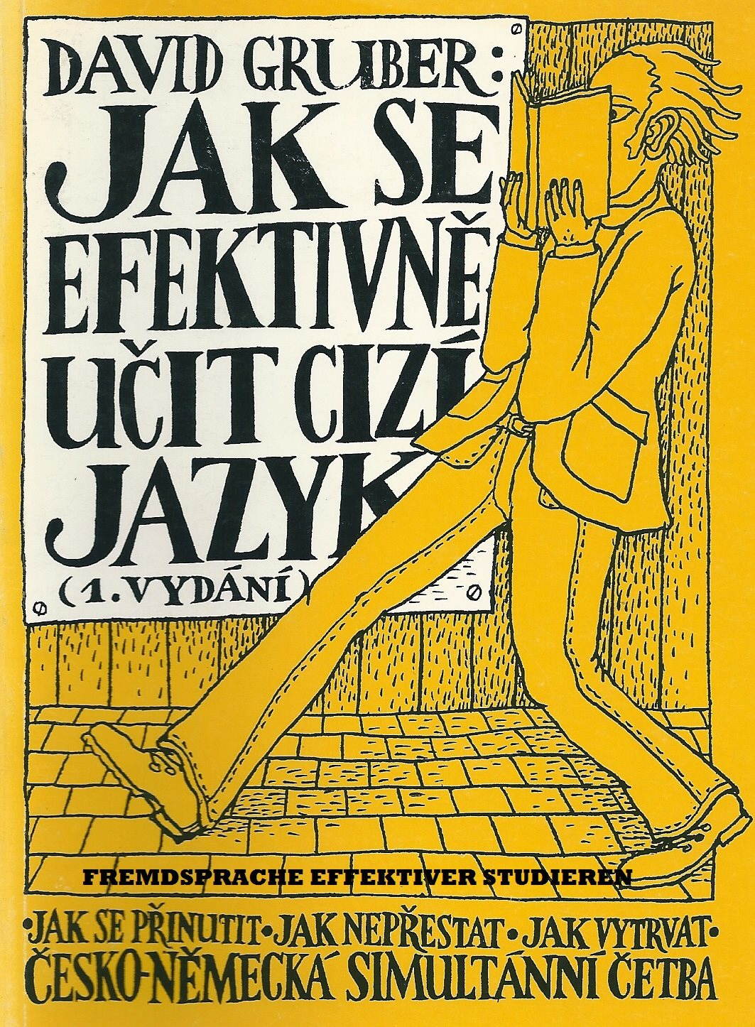 Fremdsprache effektiver studieren - Jak se efektivně učit cizí jazyk