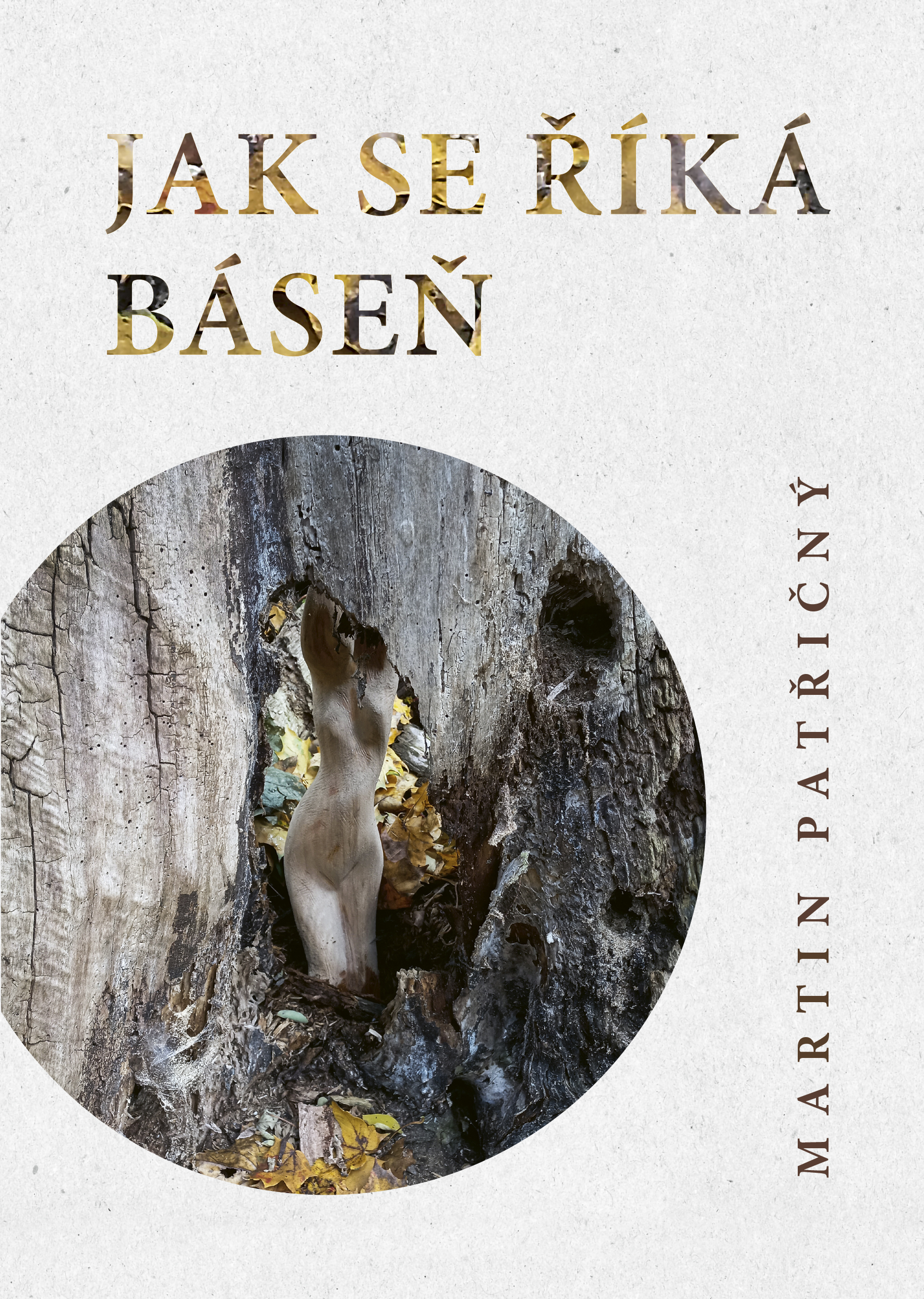 Jak se říká kniha