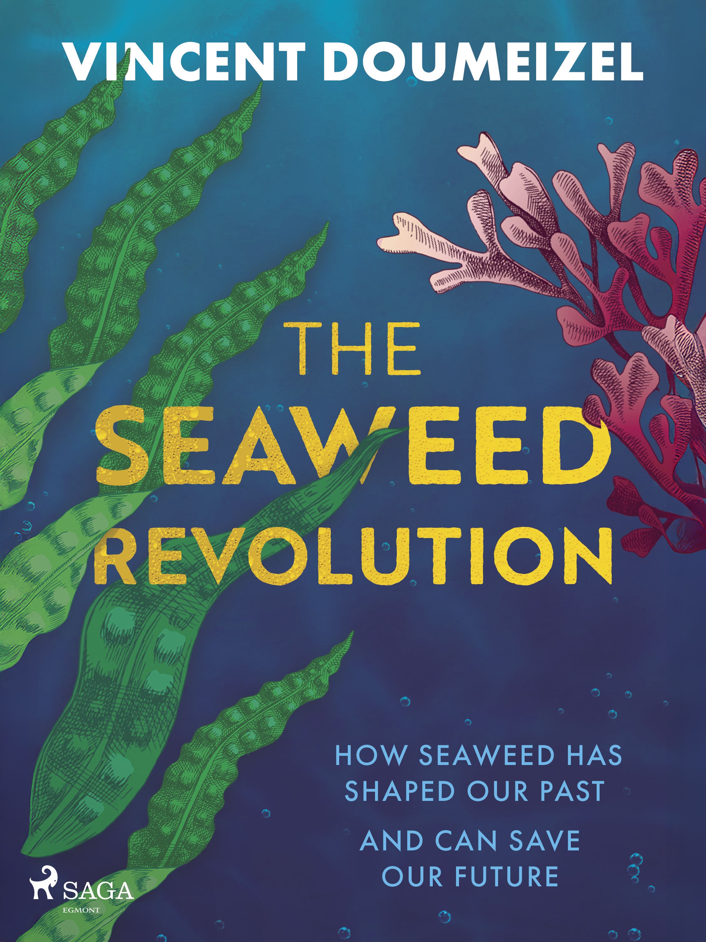The Seaweed Revolution