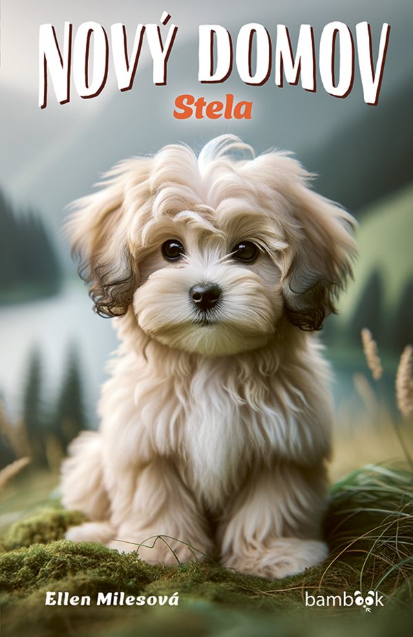 Nový domov – Stela