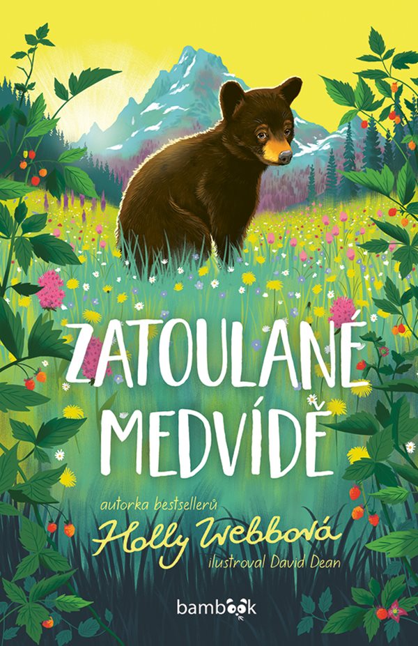 Zatoulané medvídě