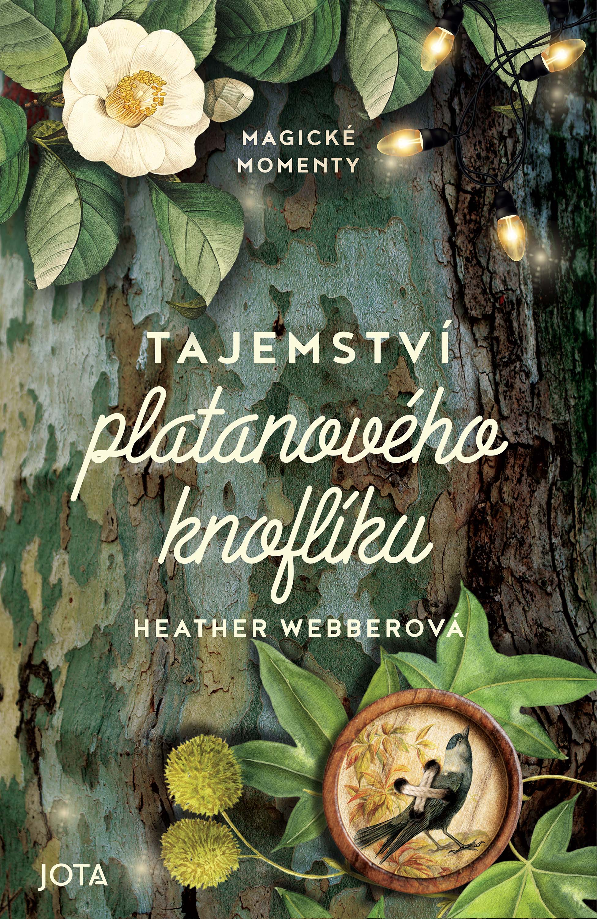 Tajemství platanového knoflíku