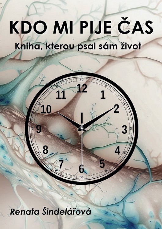 Kdo mi pije čas