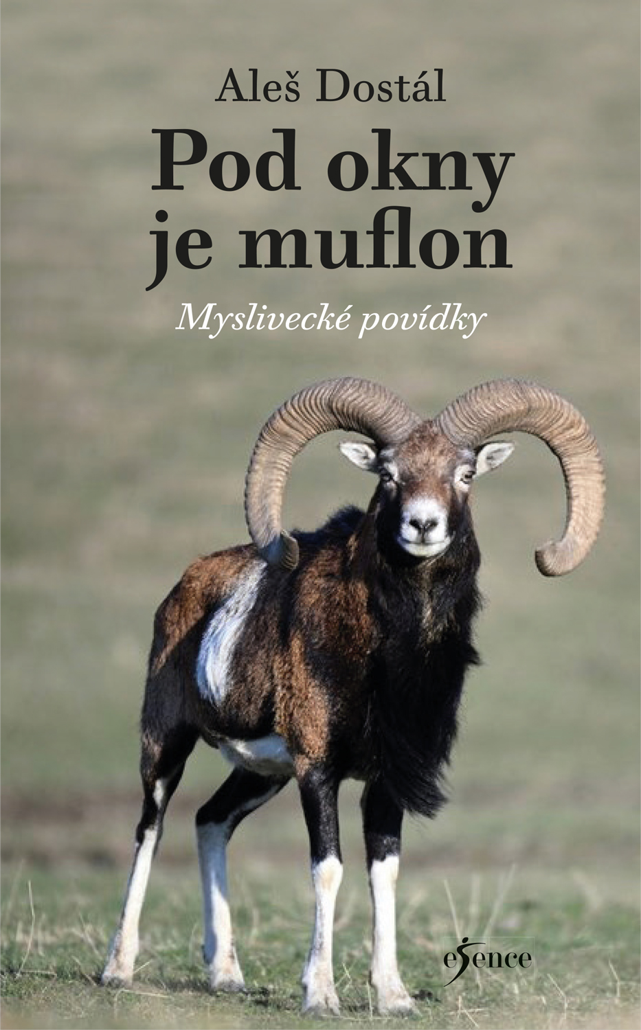 Pod okny je muflon