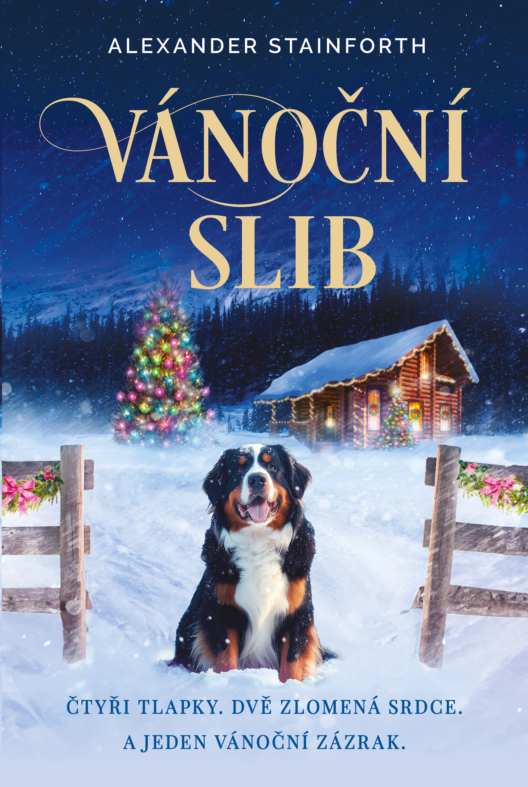 Vánoční slib