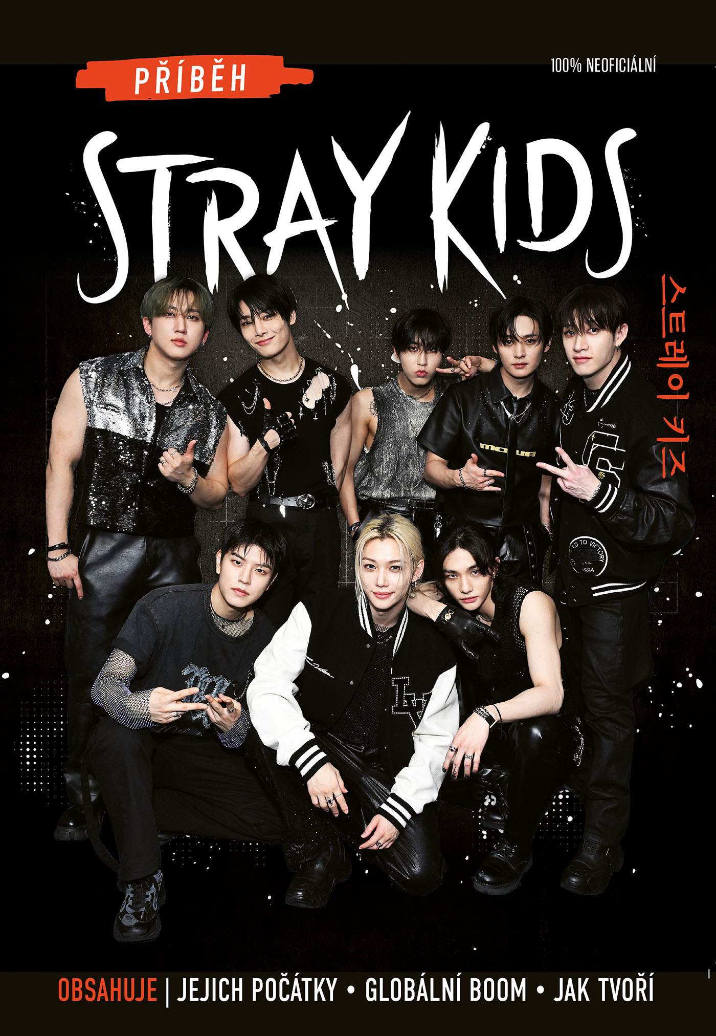 Příběh Stray Kids