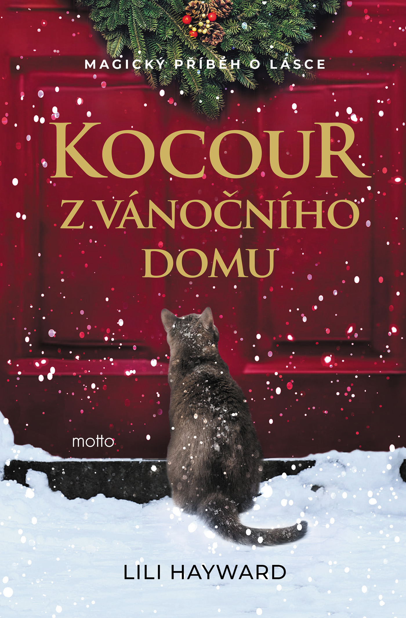 Kocour z vánočního domu