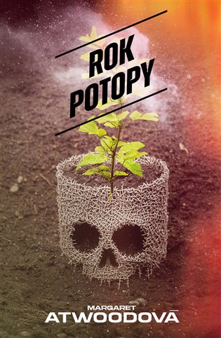 Rok potopy