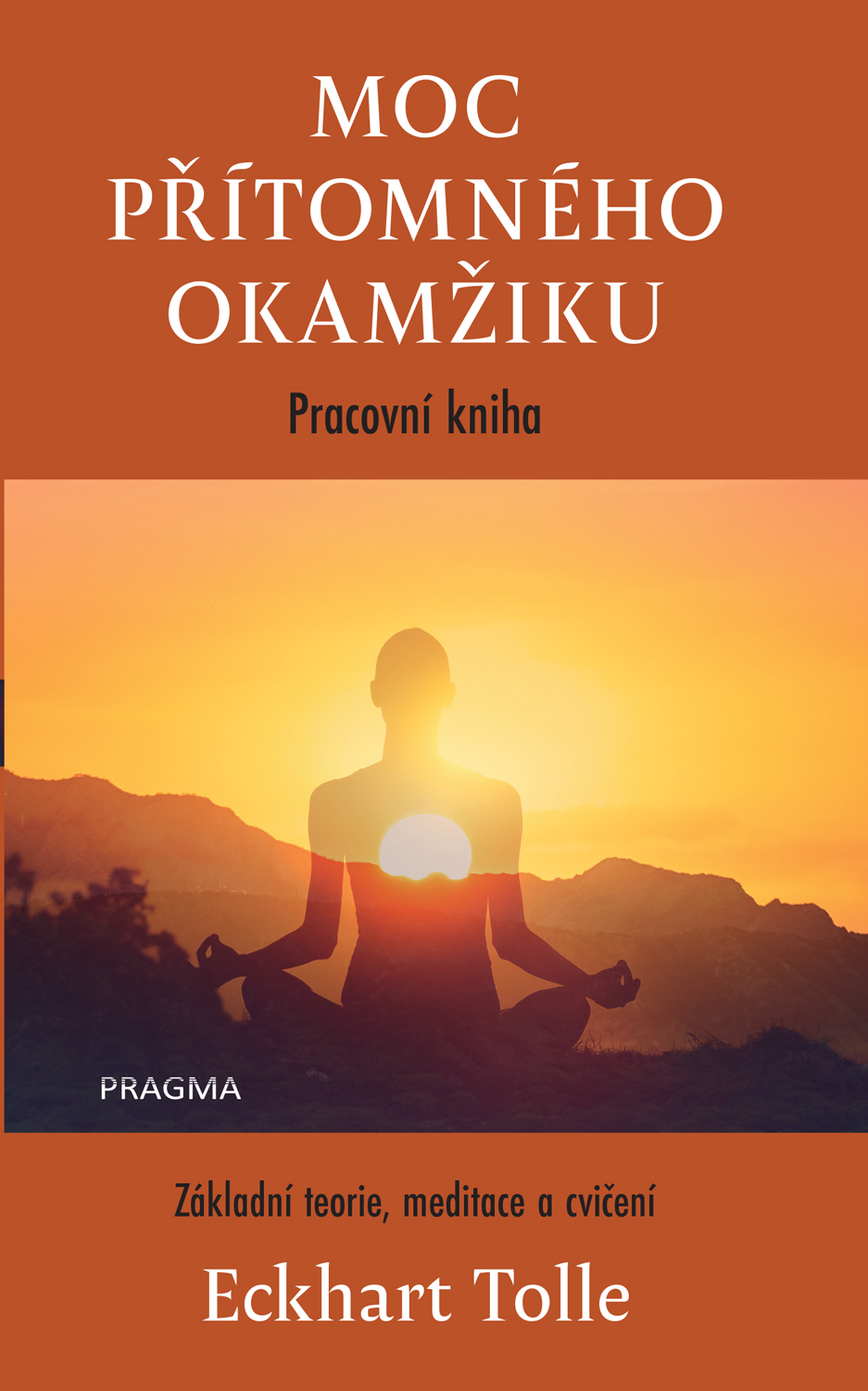 Moc přítomného okamžiku – pracovní kniha