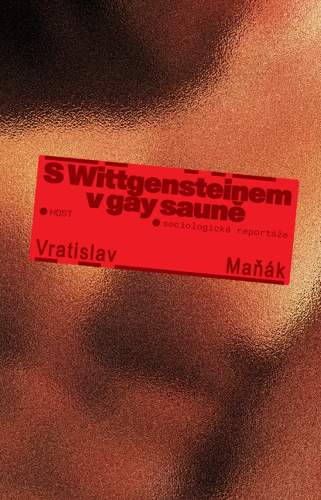 S Wittgensteinem v gay sauně