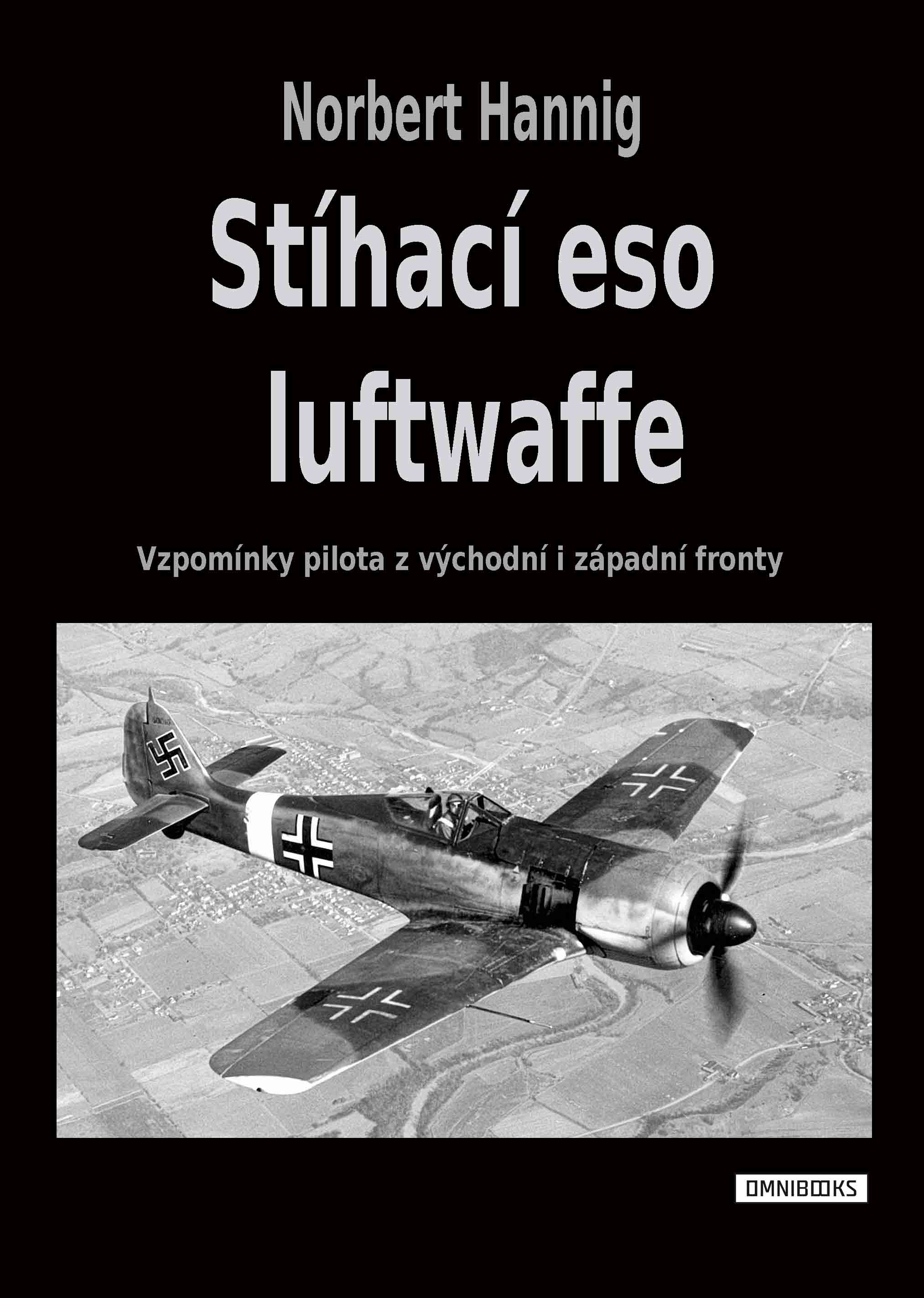 Stíhací eso luftwaffe